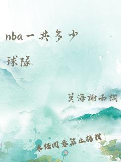 nba一共多少球队