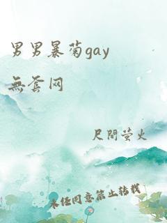 男男暴菊gay无套网