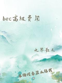 bec高级费用