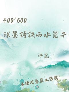 400*600球墨铸铁雨水篦子