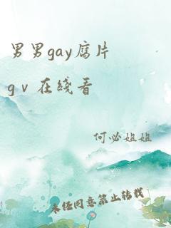 男男gay腐片gⅴ在线看