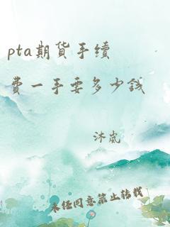 pta期货手续费一手要多少钱