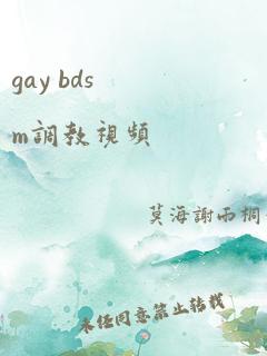 gay bdsm调教视频