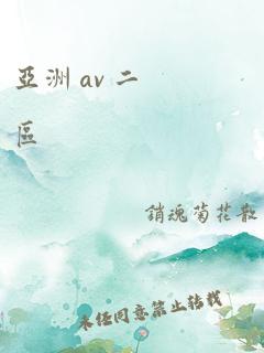 亚洲 av 二区