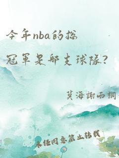 今年nba的总冠军是哪支球队?