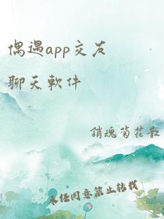 偶遇app交友聊天软件