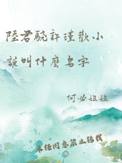 陆君骁许瑾欢小说叫什么名字