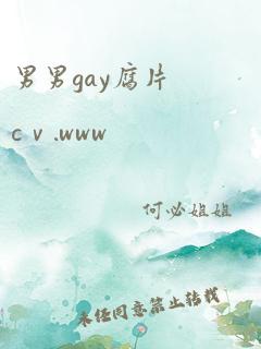 男男gay腐片cⅴ.www