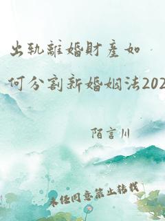 出轨离婚财产如何分割新婚姻法2023