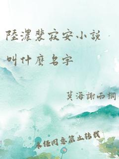 陆浓裴寂安小说叫什么名字