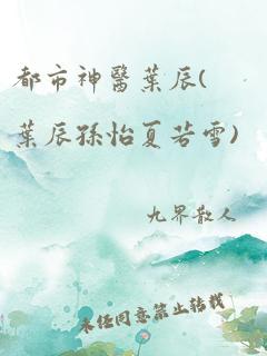 都市神医叶辰(叶辰孙怡夏若雪)