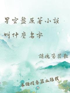 星空盘原著小说叫什么名字