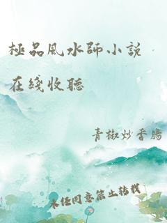 极品风水师小说在线收听