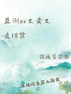 亚洲av又黄又爽18禁