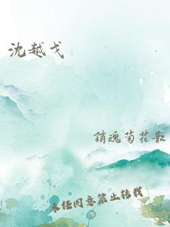 沈越戈