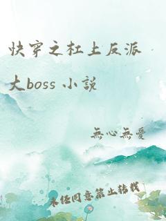 快穿之杠上反派大boss 小说