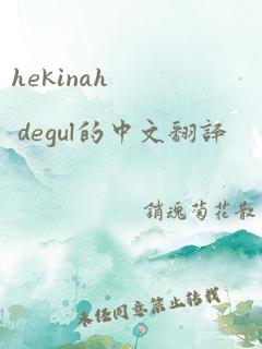 hekinah degul的中文翻译