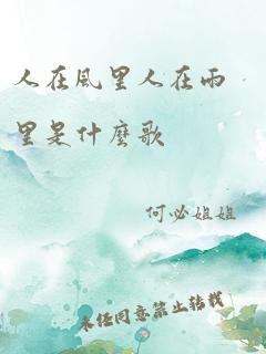 人在风里人在雨里是什么歌