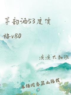 茅韵酒53度价格v80