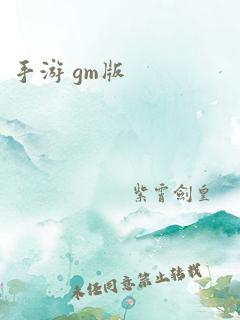 手游 gm版