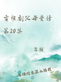 电视剧父母爱情第20集