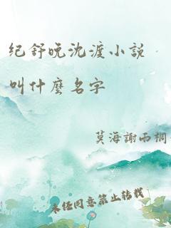 纪舒晚沈渡小说叫什么名字