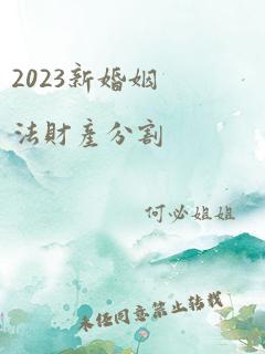 2023新婚姻法财产分割