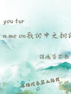 you turn me on歌词中文翻译