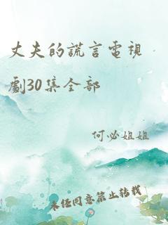 丈夫的谎言电视剧30集全部