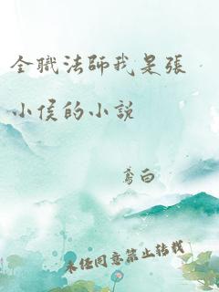 全职法师我是张小侯的小说