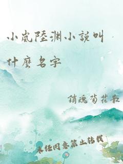 小岚陆渊小说叫什么名字