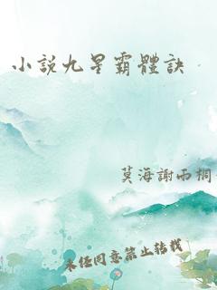 小说九星霸体诀