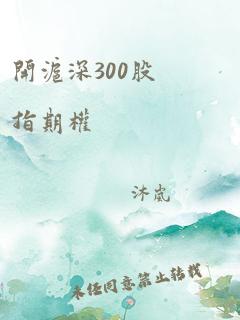 开沪深300股指期权