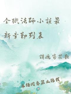 全职法师小说最新章节列表