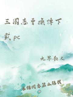 三国志曹操传下载 pc