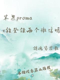 苹果promax能登录两个微信吗