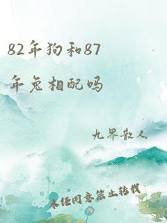 82年狗和87年兔相配吗