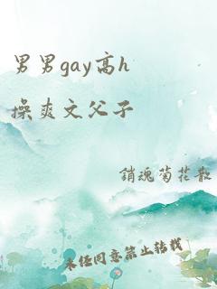 男男gay高h操爽文父子