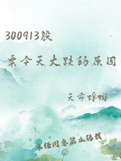 300913股票今天大跌的原因