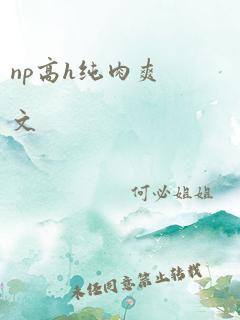 np高h纯肉爽文