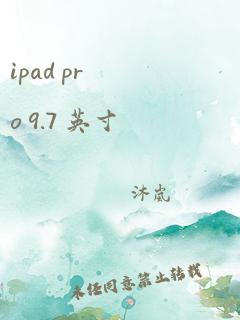 ipad pro 9.7 英寸