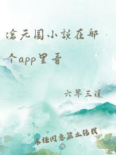 沧元图小说在哪个app里看