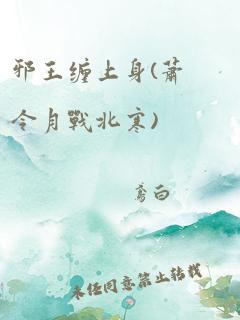 邪王缠上身(萧令月战北寒)