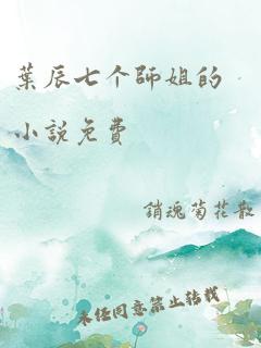 叶辰七个师姐的小说免费