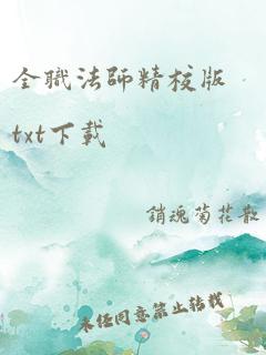 全职法师精校版txt下载