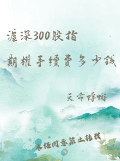 沪深300股指期权手续费多少钱