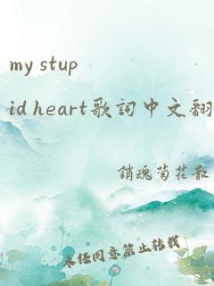 my stupid heart歌词中文翻译