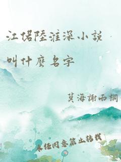 江偌陆淮深小说叫什么名字