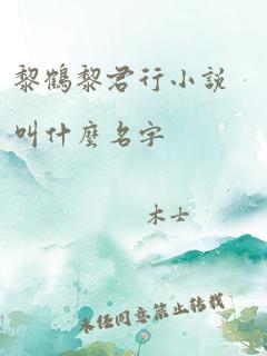 黎鹤黎君行小说叫什么名字