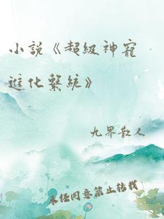 小说《超级神宠进化系统》